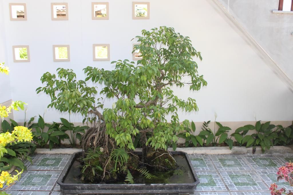 Hoian Joy Homestay Hội An Extérieur photo