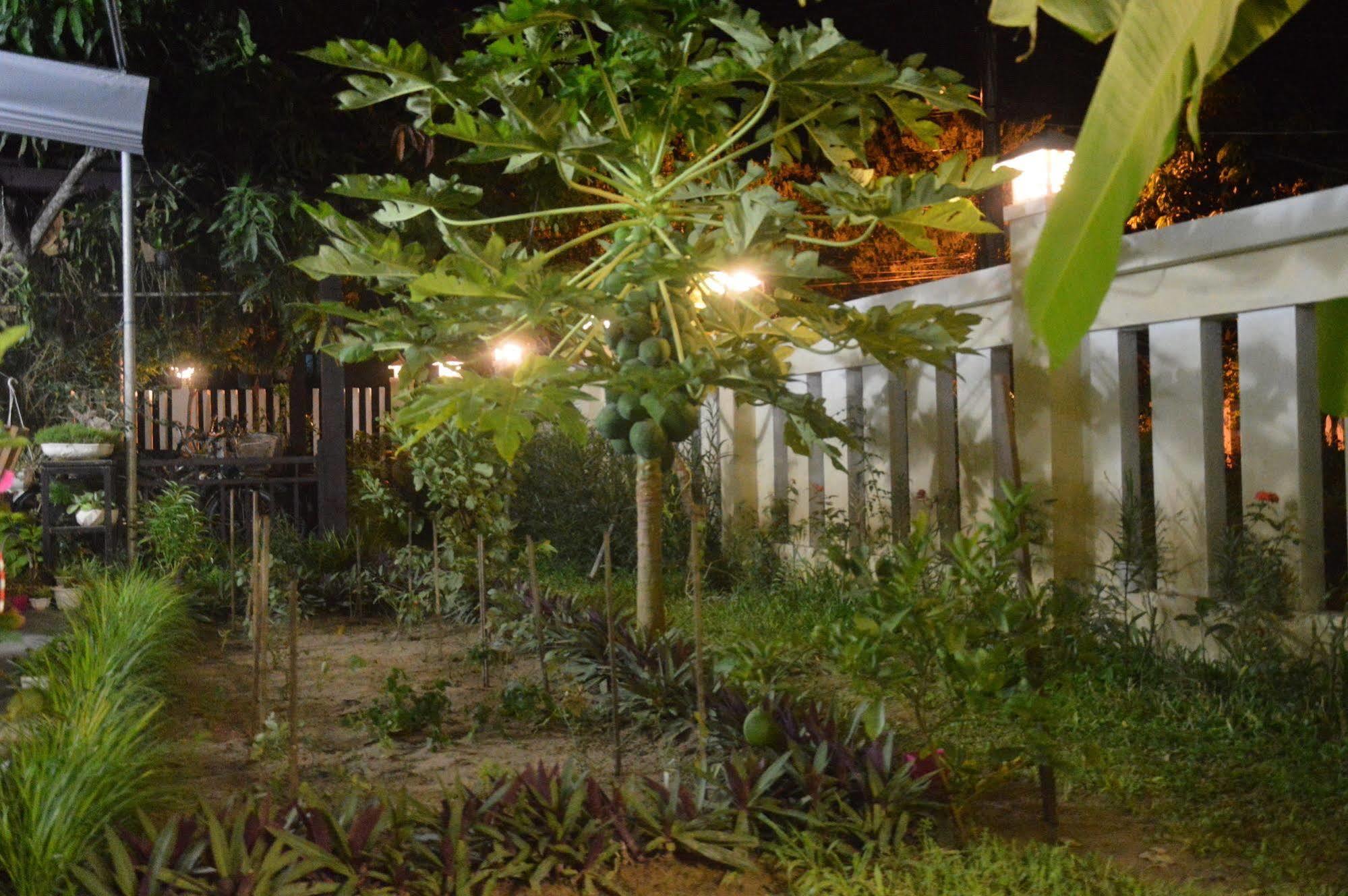 Hoian Joy Homestay Hội An Extérieur photo